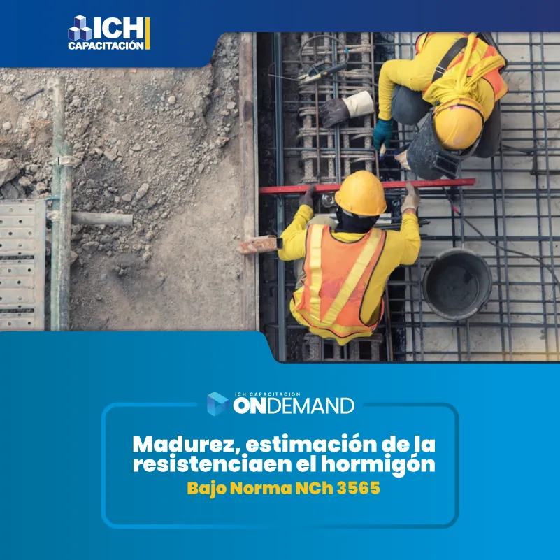 Mesa de trabajo 8 copia